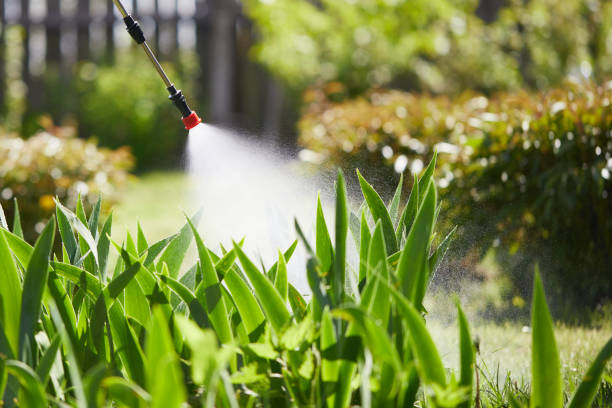 24/7 Emergency Mosquito Control experts in Poplar-Cotton Center, CA